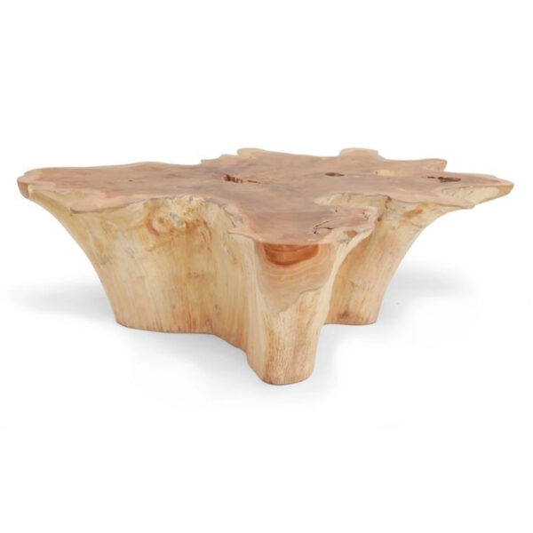 Coffee Table Design 81