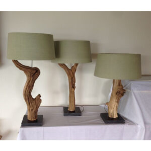 Lamp Light Design 15